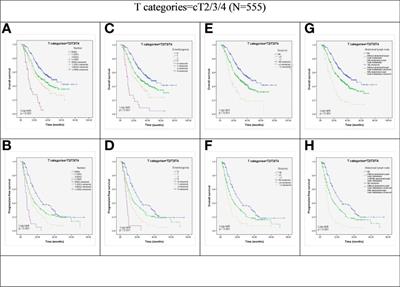 Lymph node metastasis is not associated with survival in patients with clinical stage T4 esophageal squamous cell carcinoma undergoing definitive radiotherapy or chemoradiotherapy